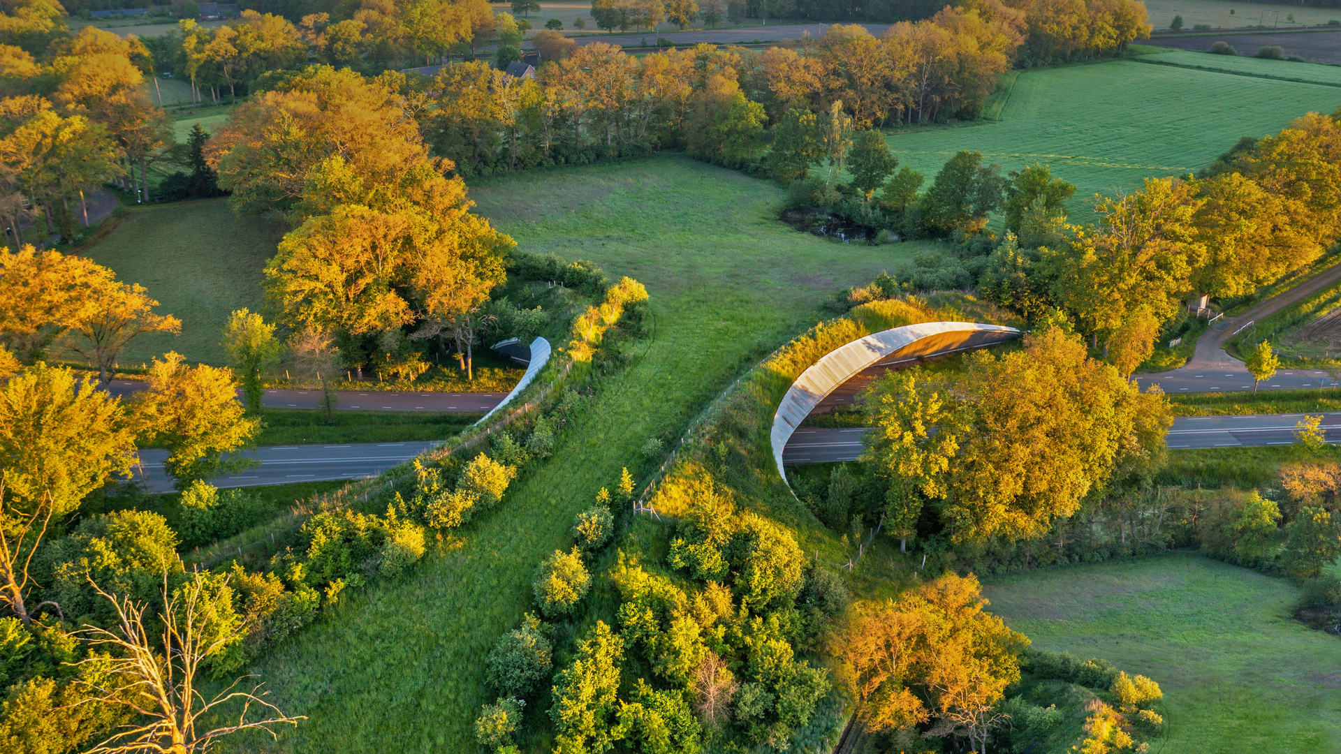 Wildlife crossing in Wierden, Netherlands (© Frans Lemmens/Alamy)(Bing United Kingdom)