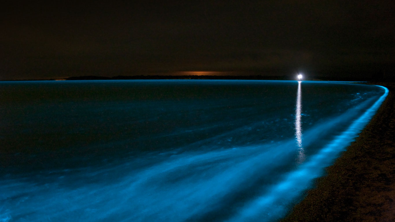 Bioluminescence in the Gippsland Lakes, Victoria, Australia (© Stocktrek Images/Getty Images)(Bing United Kingdom)