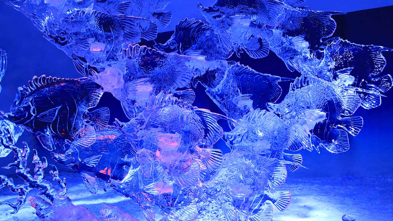 Ice sculpture of fish, illuminated at night in Confederation Park, Ottawa (© Vlad G/Shutterstock.com)(Bing Canada)
