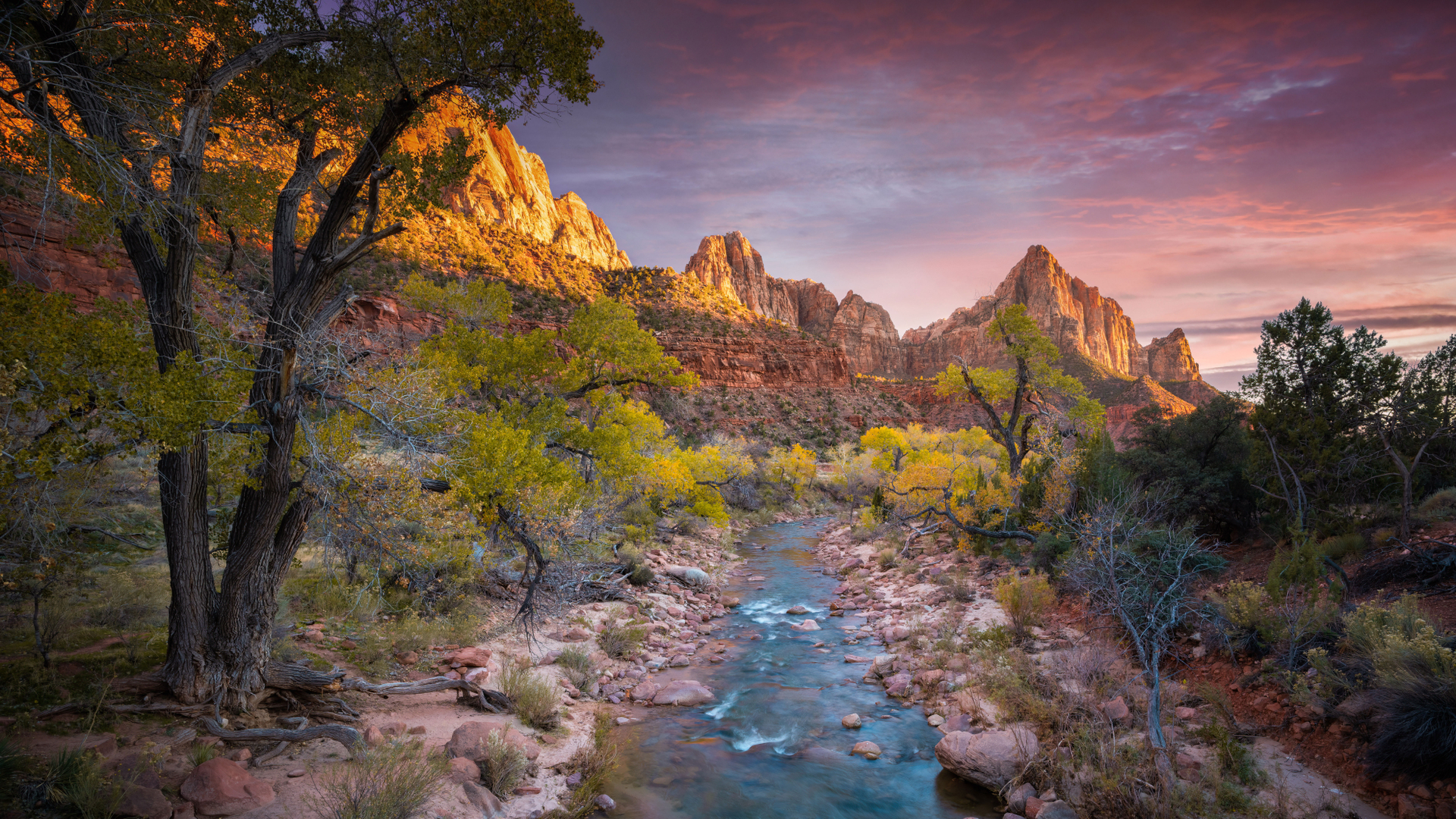 Virgin River in Zion National Park, Utah (© Jonathan Ross/Getty Images)(Bing United States)
