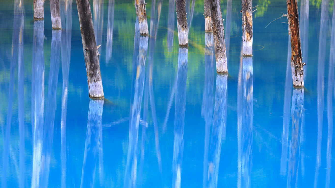 Blue Pond in Biei, Hokkaido, Japan (© JTB Photo/UIG/Getty Images)(Bing United Kingdom)