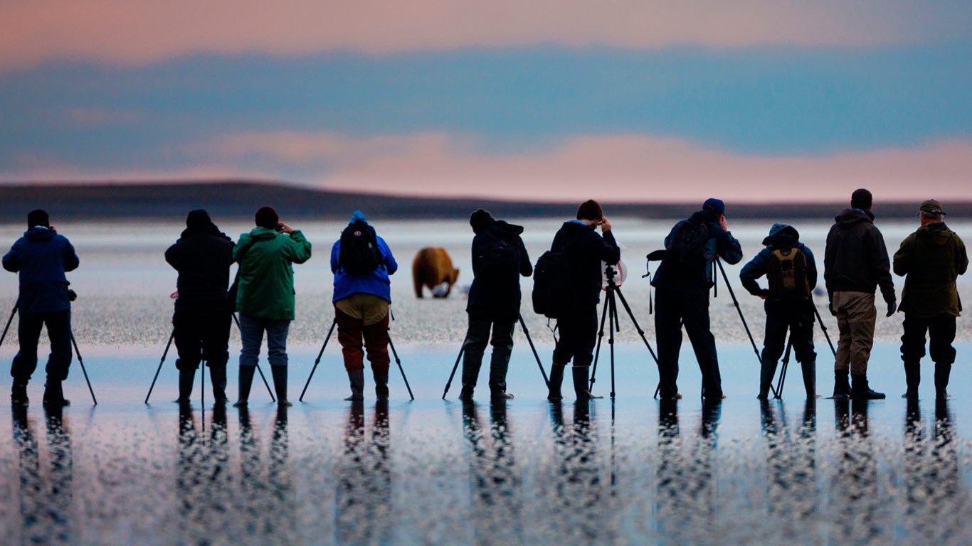 Photographers shooting pictures of brown bears in Lake Clark National Park and Preserve, Alaska, USA (© Art Wolfe/Mint Images)(Bing United Kingdom)