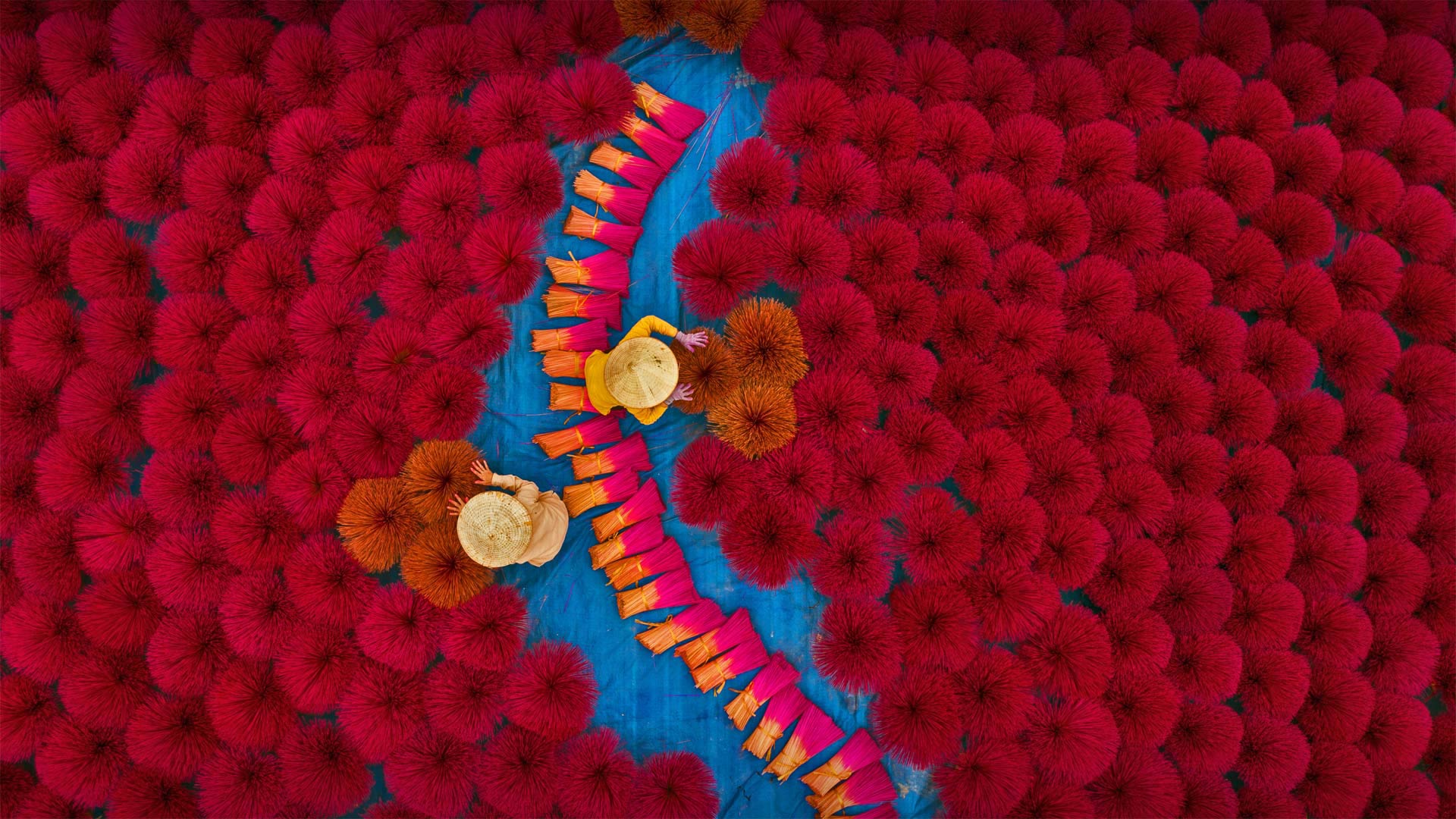 Workers in an incense field in the Huyện Ứng Hòa district of Hanoi, Vietnam (© Azim Khan Ronnie/Amazing Aerial Agency)(Bing Canada)