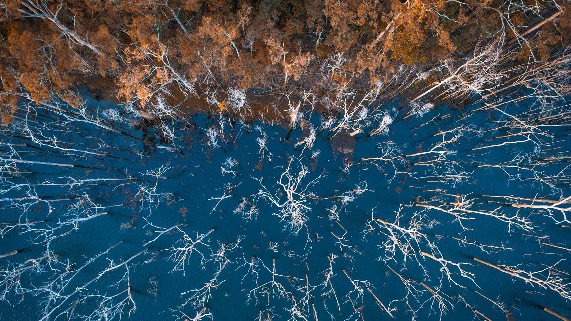 Ufer des Advancetown Lake, Gold Coast, Queensland, Australien (© AzmanL/E+/Getty Images)(Bing Deutschland)