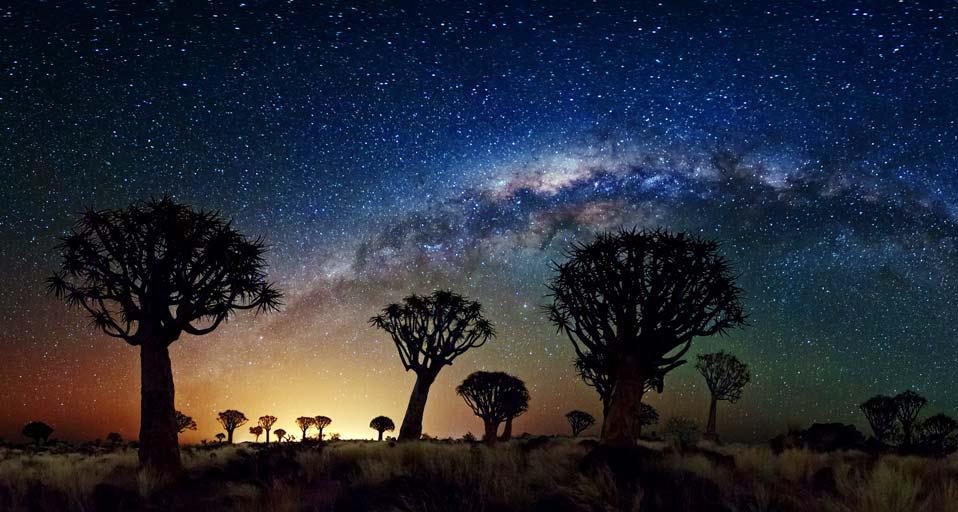 The Milky Way stretches over the Quiver Tree Forest, Namibia (© Florian Breuer/NASA)(Bing United Kingdom)