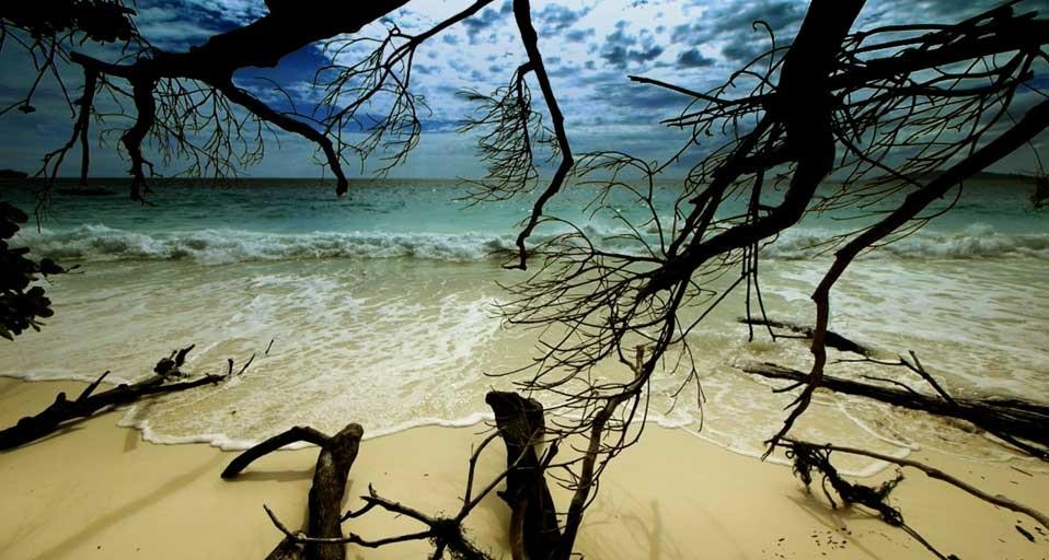 A remote beach in the Similan Islands, Thailand (© Clipcanvas) &copy; (Bing United Kingdom)