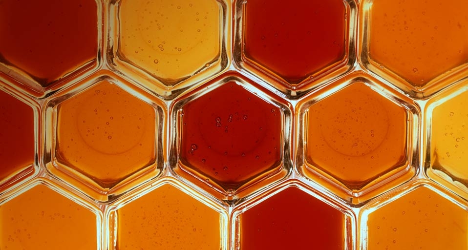 Honey jars (© Leser, Nicolas/Corbis) &copy; (Bing United Kingdom)