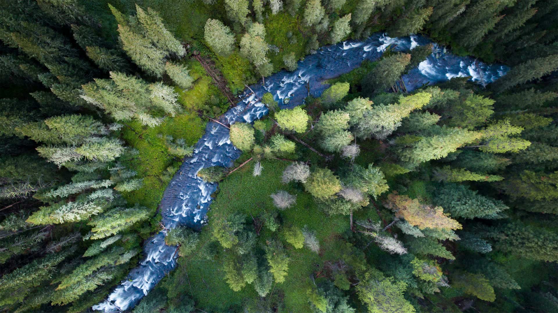 Hyalite Creek in the Custer Gallatin National Forest, Montana (© Jared Lloyd/Getty Images)(Bing United States)