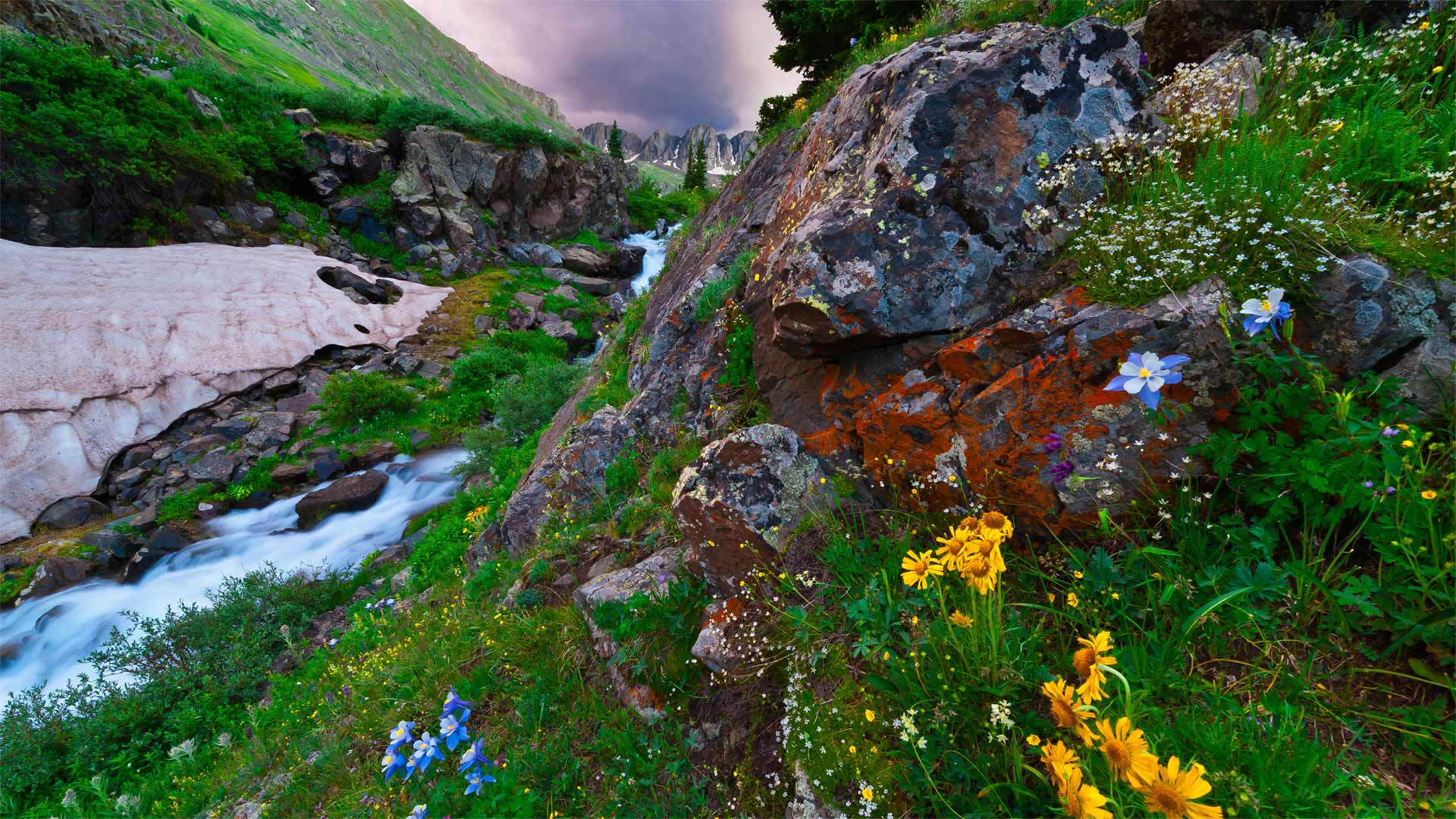 American Basin in southern Colorado