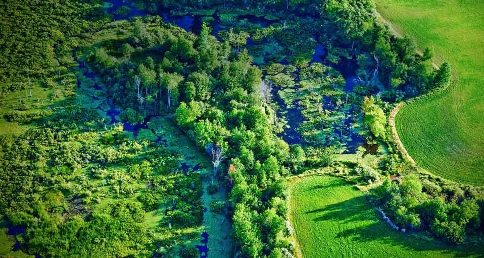 Wetland area and agricultural field near the Pere Marquette River, Michigan (© Visuals Unlimited, Inc./Jeff Wickett/Getty Images) &copy; (Bing Canada)
