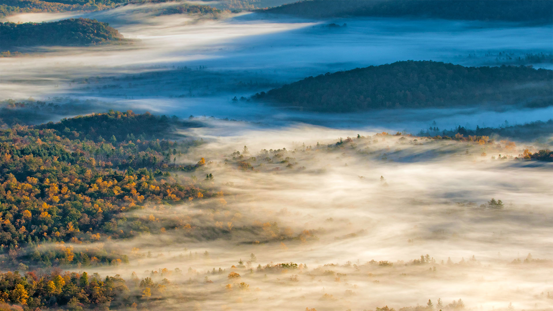View of Pisgah National Forest near Brevard, North Carolina, USA (© Adam Jones/Danita Delimont)(Bing United Kingdom)