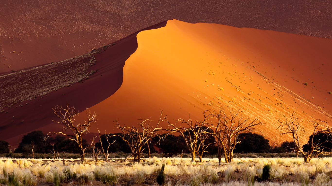 ｢ソススフレイ砂丘｣ナミビア (© Erik Joosten/Minden Pictures)(Bing Japan)