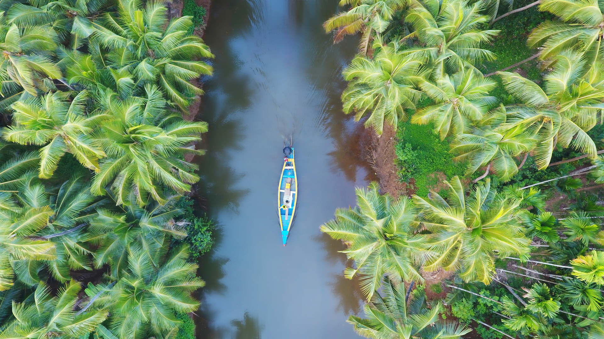 Veduta aerea di una barca in Kerala, India (© Shutterstock)(Bing Italia)