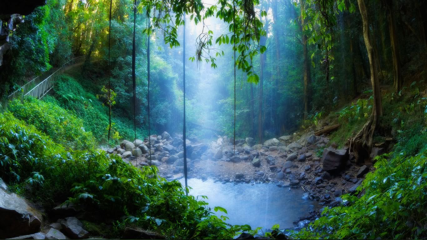 Crystal Shower Falls, Dorrigo National Park, New South Wales, Australia (© Jochen Schlenker/Masterfile)(Bing Australia)