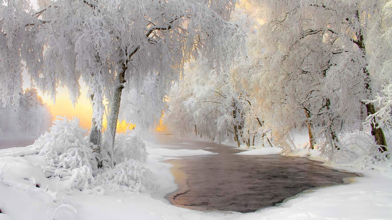Winter scenery near Kuhmo, Finland (© Ville Heikkinen/iStock/Getty Images Plus)(Bing United Kingdom)