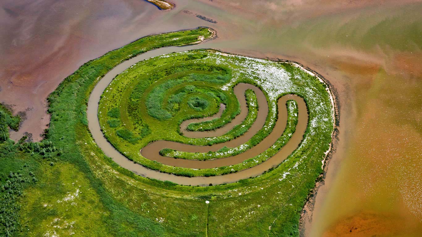 Installation by land artist Paul de Kort in De Biesbosch National Park, Netherlands (© Frans Lemmens/Alamy)(Bing United Kingdom)