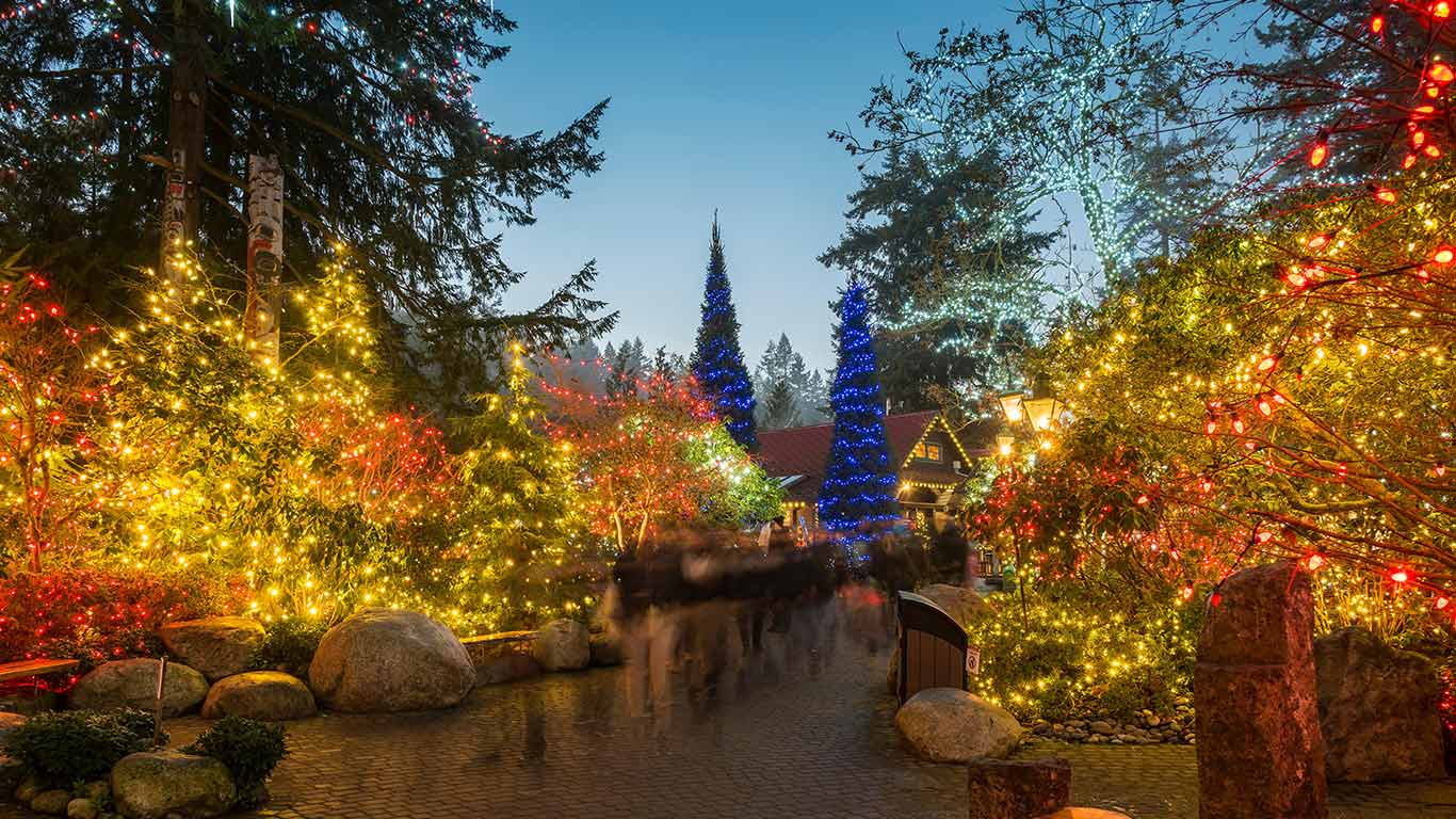 Capilano Suspension Bridge Park decorated with Christmas lights, Vancouver (© Stefano Politi Markovina/Alamy Stock Photo)(Bing Canada)