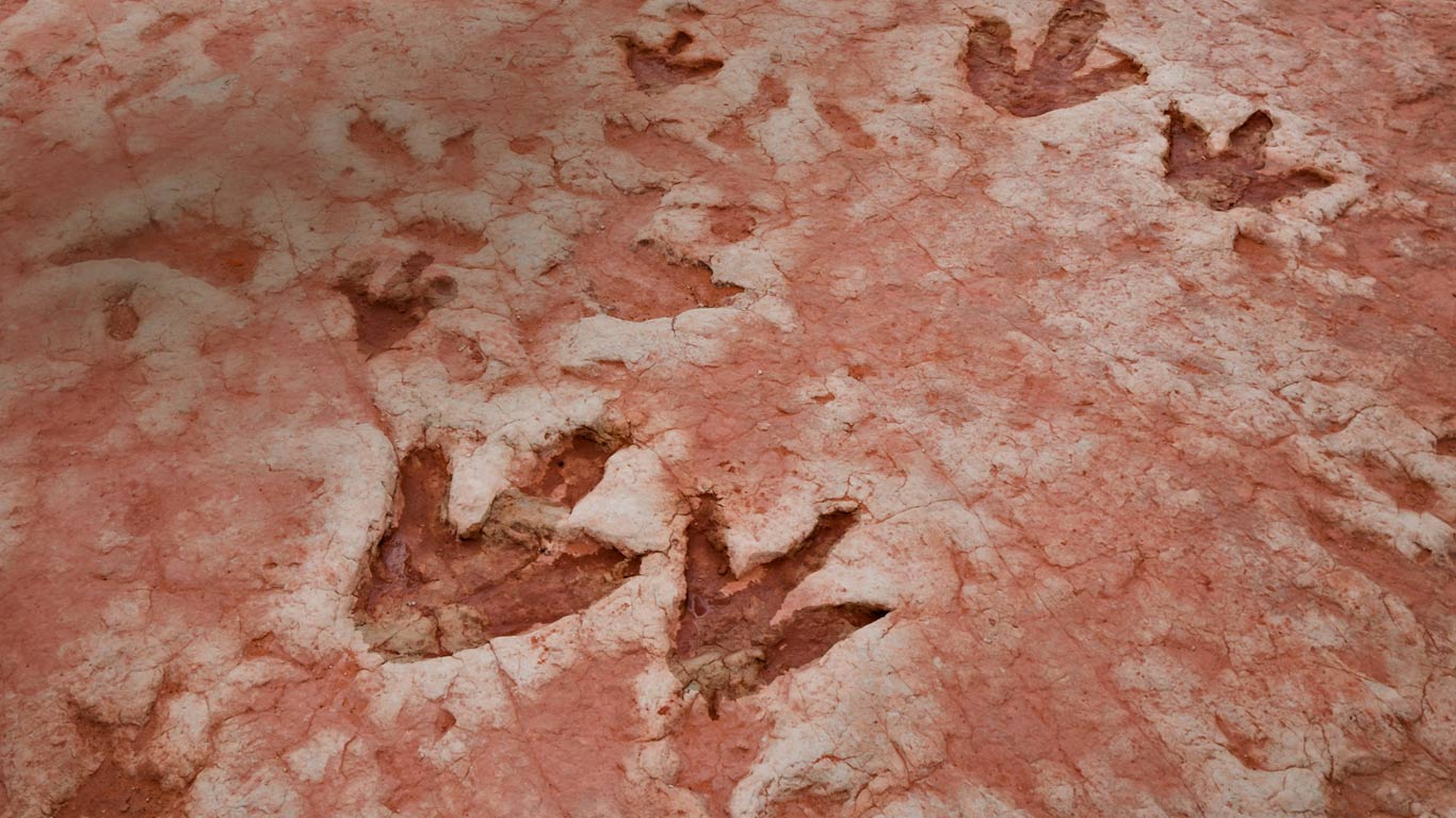 Dinosaur tracks from the Jurassic Period found near Tuba City, Arizona, in the Navajo Nation (© wanderluster/Getty Images)(Bing United States)