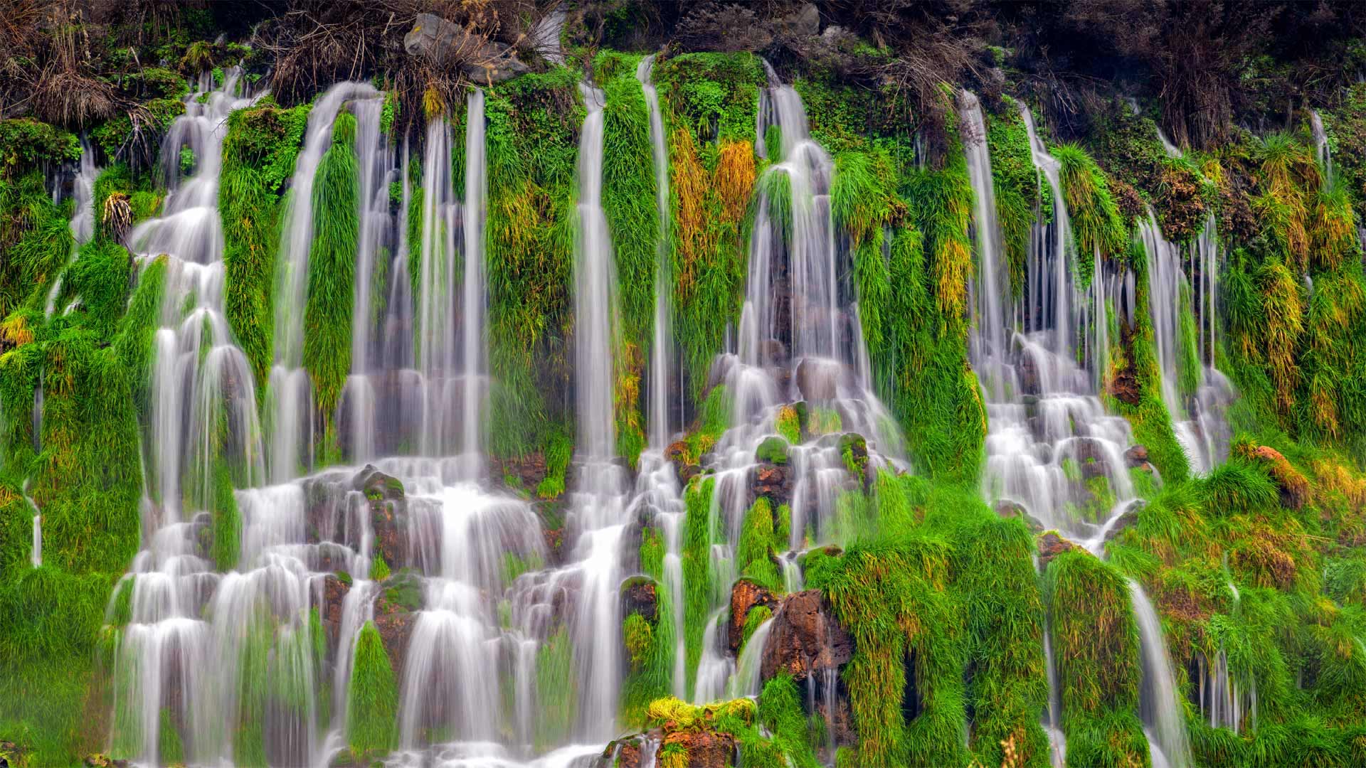 Wasserfall im Thousand Springs State Park, Hagerman Valley, Idaho, USA (© knowlesgallery/Getty Images)(Bing Deutschland)
