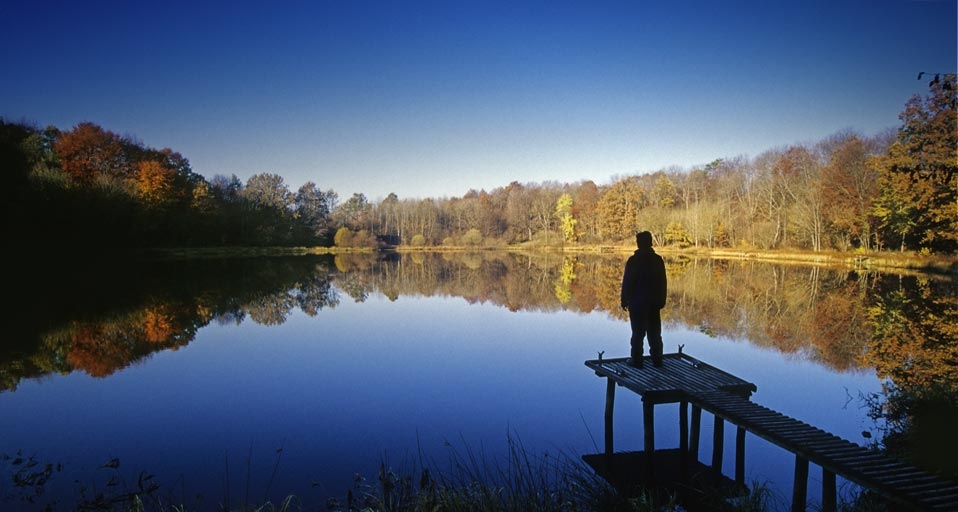 Ein Angler genießt die herbstliche Stimmung am Windsborner Kratersee bei Bettenfeld in der Eifel, Rheinland-Pfalz – Heinz Wohner / LOOK-foto &copy; (Bing Germany)