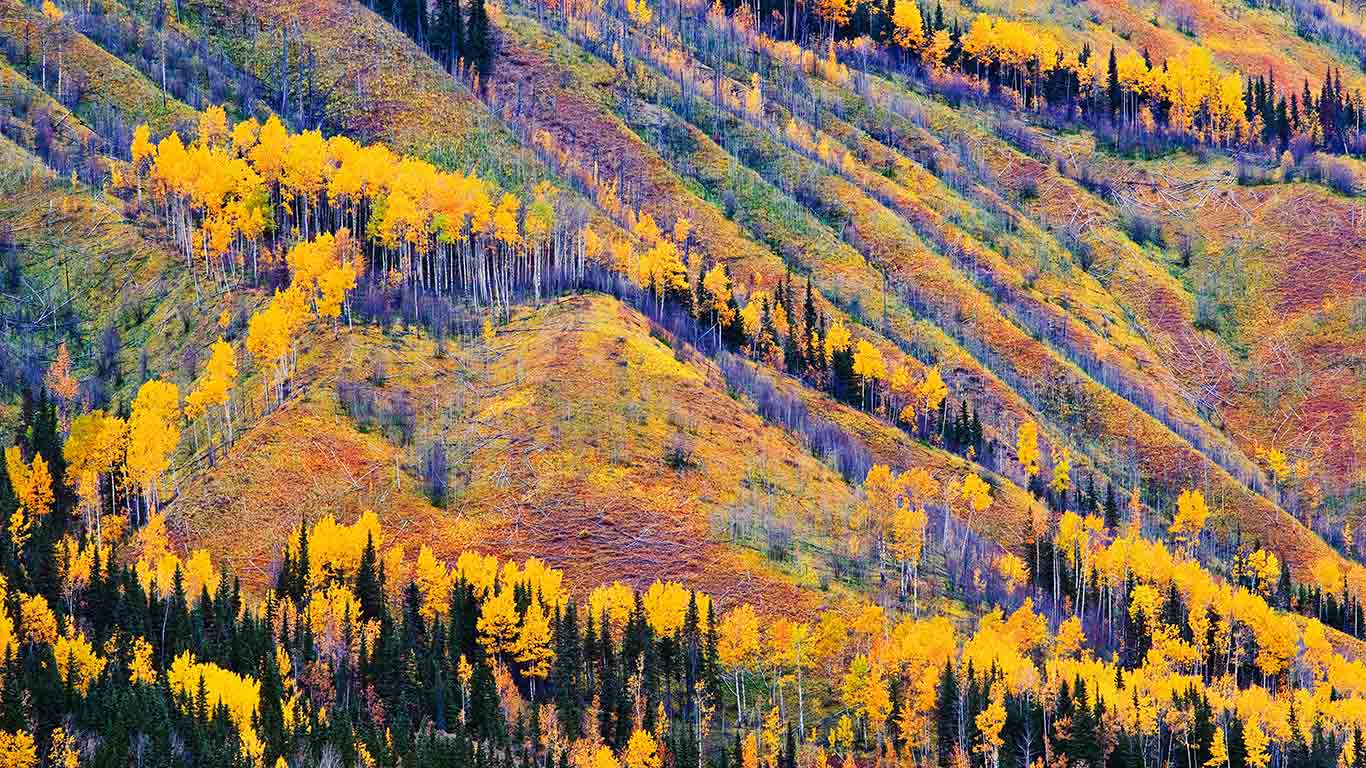 Fall Colours, Toad River, Northern British Columbia (© Yves Marcoux/Design Pics)(Bing Canada)