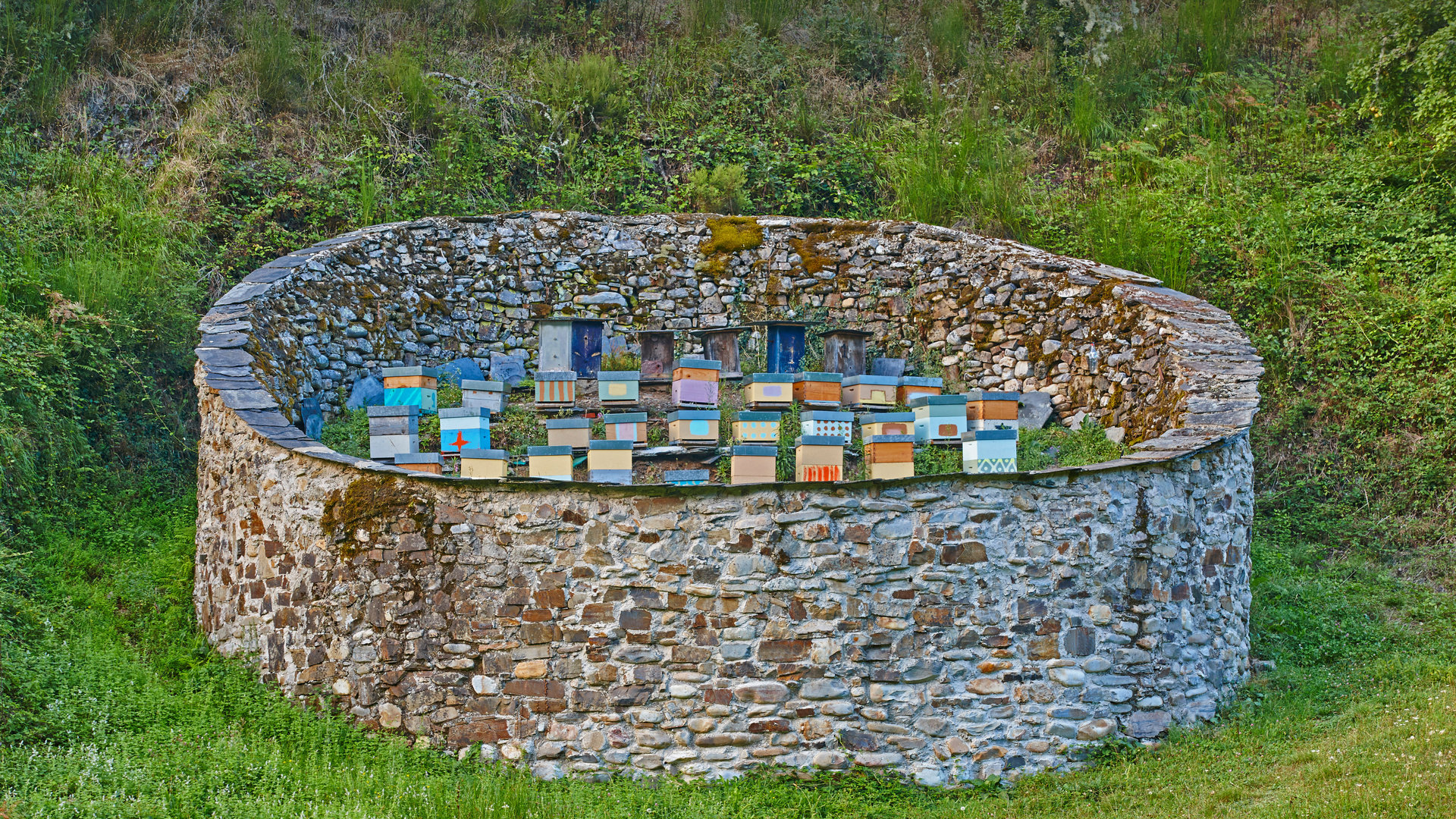 Beehives in the Muniellos Nature Reserve in the province of Asturias, Spain (© ABB Photo/Shutterstock)(Bing Canada)