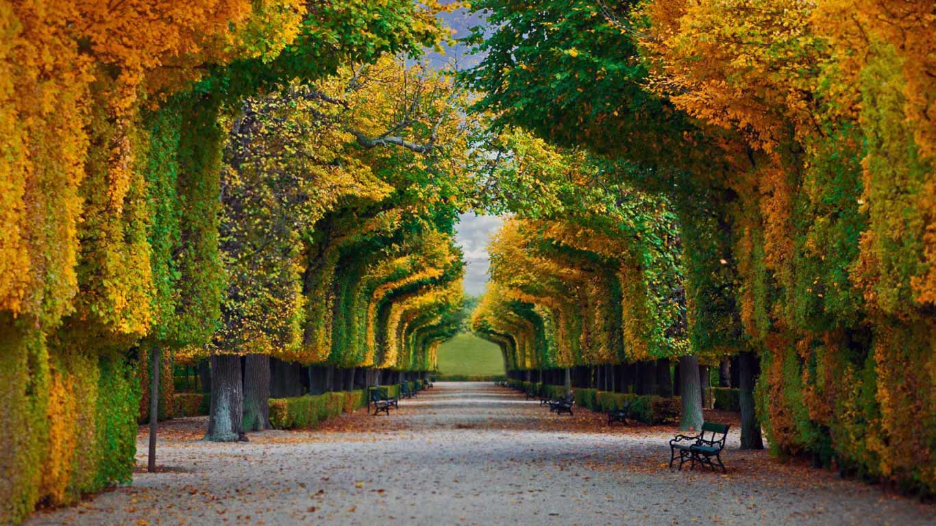 Schönbrunn Palace gardens in Vienna, Austria (© badahos/Shutterstock)(Bing United Kingdom)