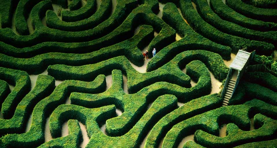 Hedge maze at Longleat House near the town of Warminster, Wiltshire, UK -- Jason Hawkes/Getty Images &copy; (Bing United Kingdom)