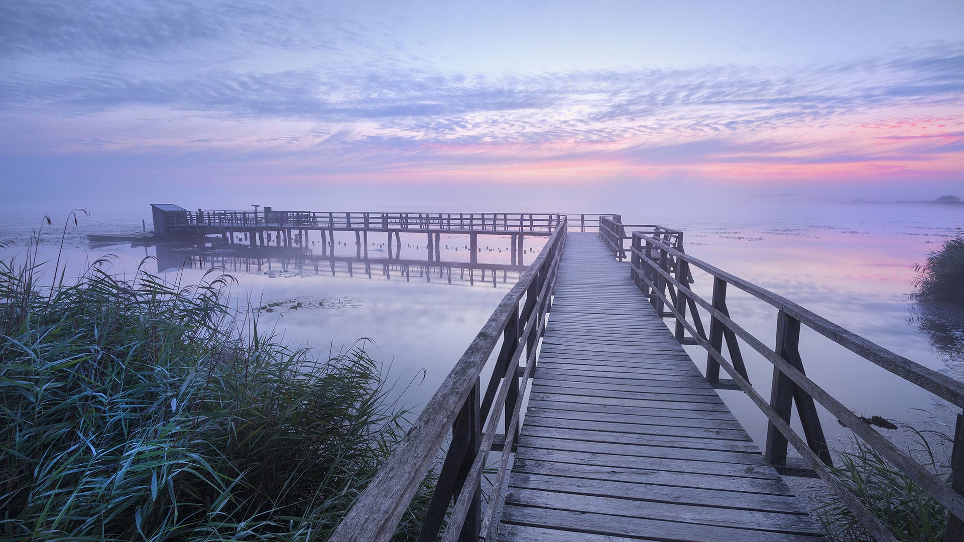 Der Federseesteg in der Morgendämmerung nahe Bad Buchau, Baden-Württemberg, Deutschland (© Reinhard Schmid/Huber/eStock Photo)(Bing Deutschland)