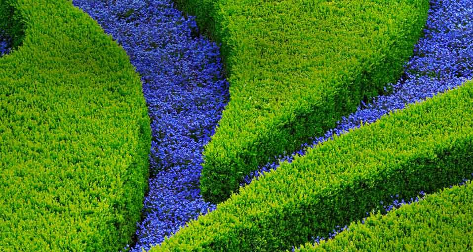 Vrtba Garden in Prague, Czech Republic (© William Manning/Corbis)(Bing United States)