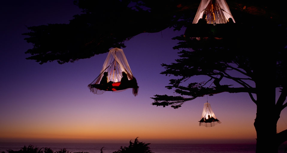 Climbers in three portaledges with mosquito netting camp in trees on the California Coast near Elk, California -- Louie Psihoyos/Corbis &copy; (Bing United Kingdom)
