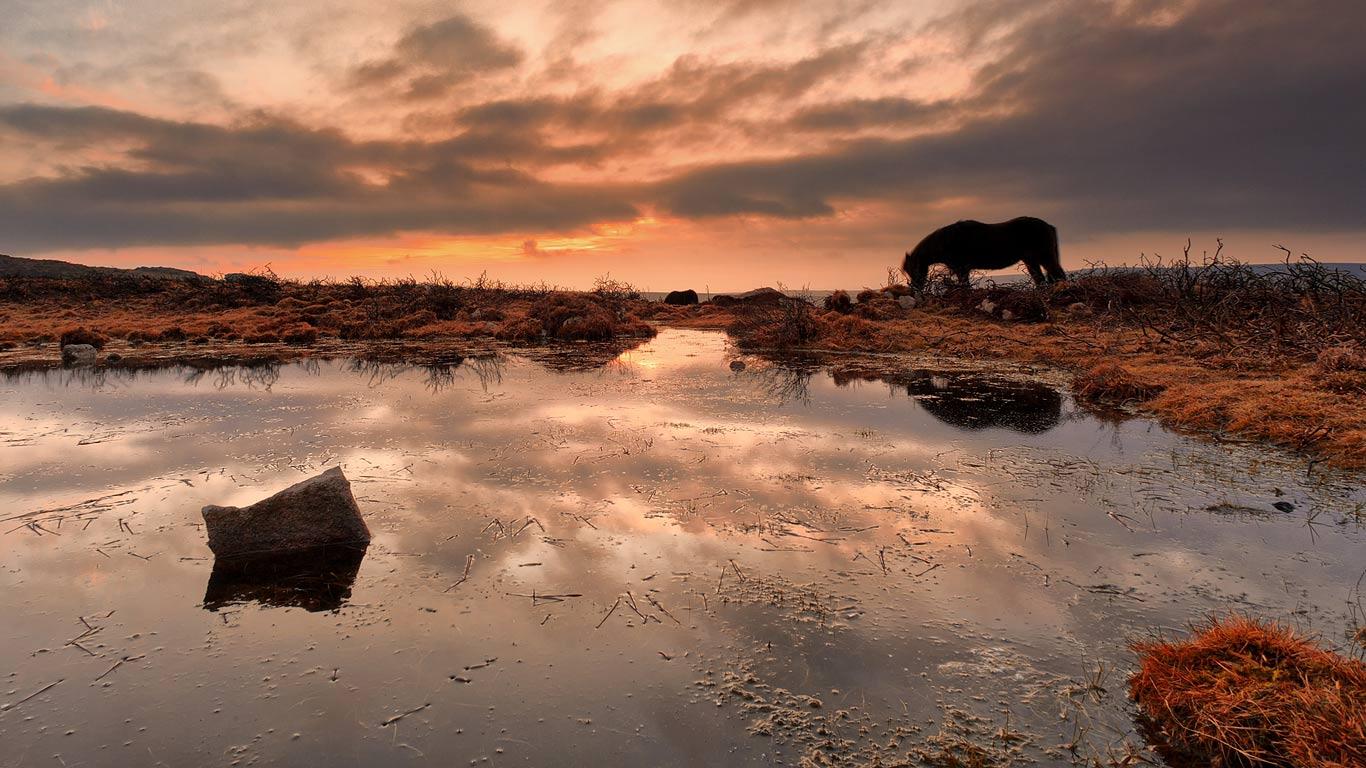 Haytor, Dartmoor National Park, England (© Andy Fox/Age Fotostock)(Bing United Kingdom)