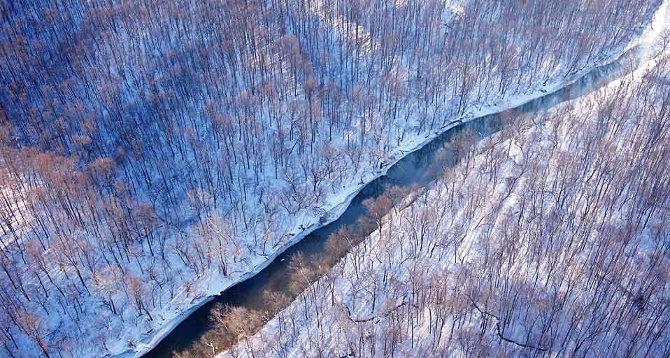 Aerial view of a creek flowing through the countryside of Virginia, USA (© Cameron Davidson/Corbis) &copy; (Bing United Kingdom)