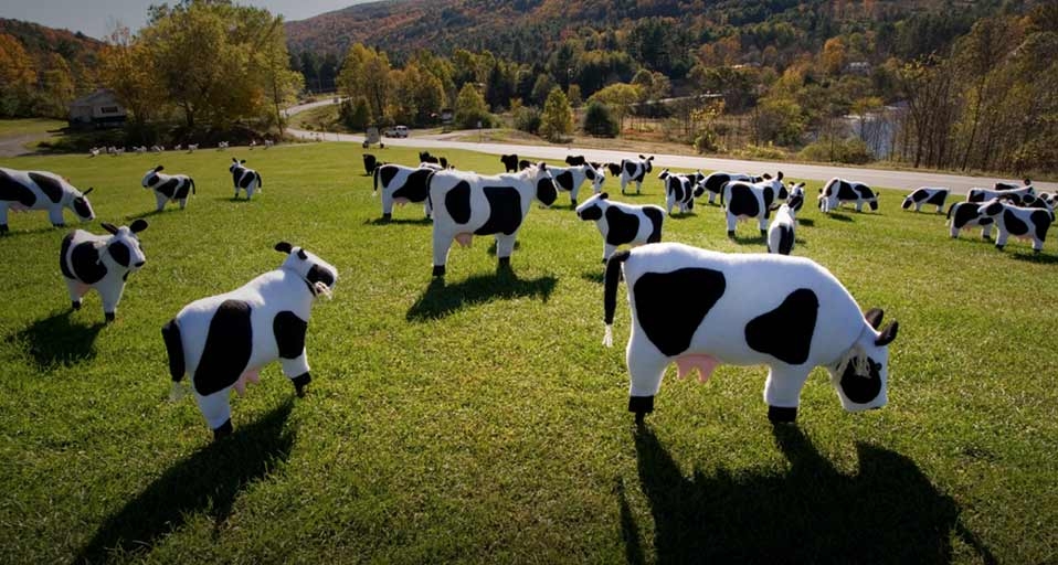 Ornamental cows graze a lawn in Quechee, Vermont -- Carl D. Walsh/Aurora Photos &copy; (Bing United Kingdom)