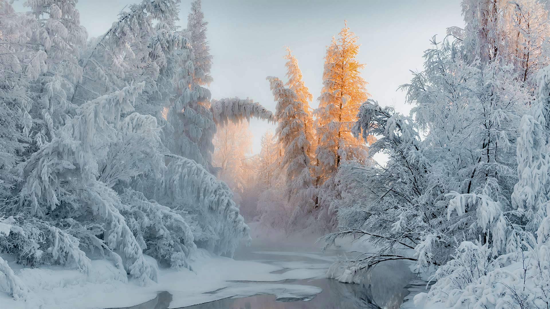Winter in Oymyakon, Russia (© Alexandr Berdicevschi/Getty Images)(Bing United States)
