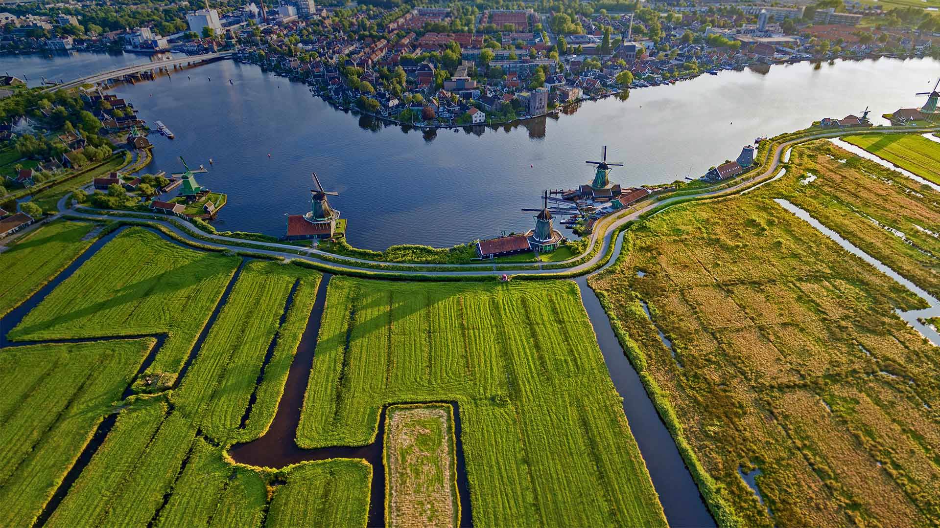 Historic windmills of Zaanse Schans near Amsterdam, Netherlands (© Matt Cooper/Gallery Stock)(Bing United Kingdom)