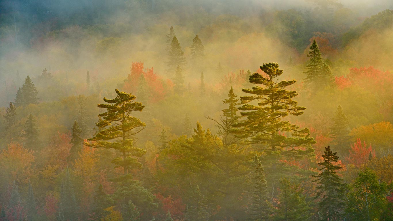 ｢スペリオル湖州立公園｣カナダ, オンタリオ (© Don Johnston/Corbis)(Bing Japan)