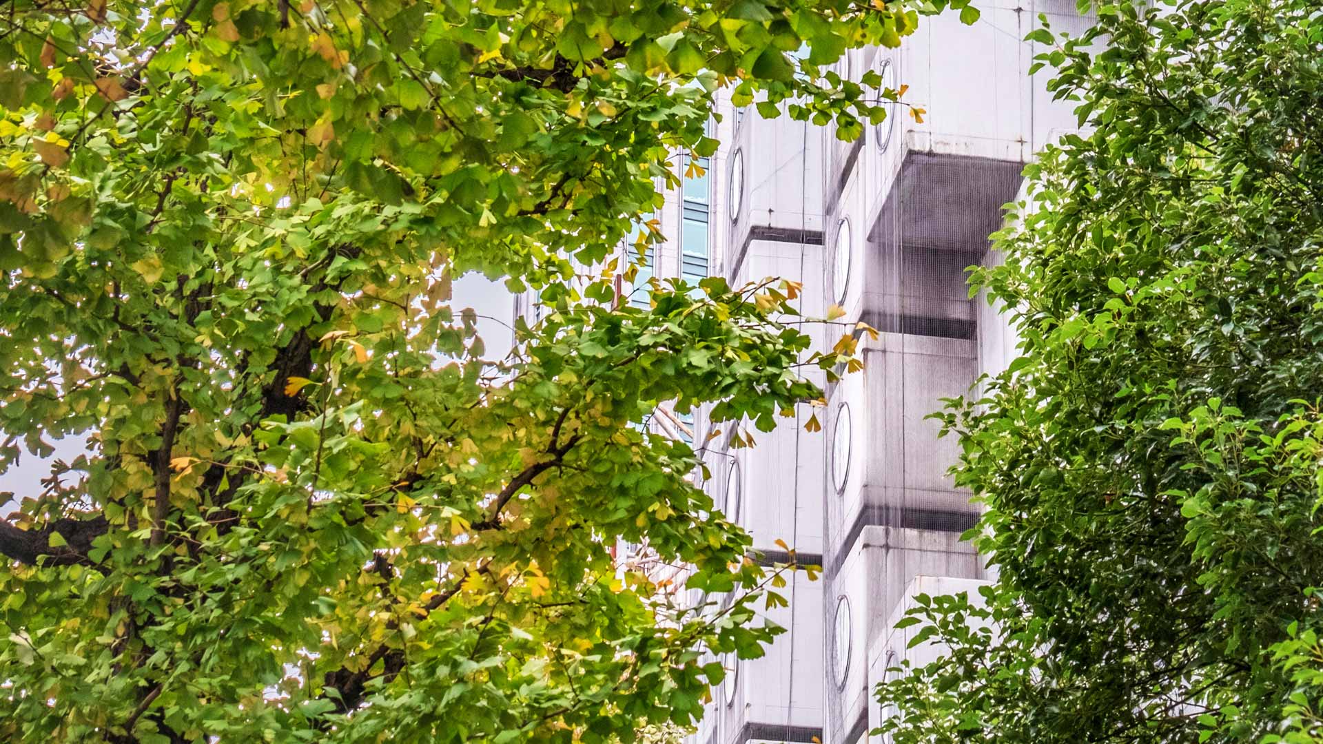 ｢中銀カプセルタワービル｣東京, 新橋 (© ILYA GENKIN/Alamy Stock Photo)(Bing Japan)