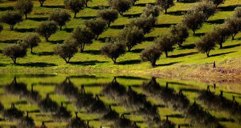 ｢アルケヴァ・ダム｣ポルトガル, アレンテージョ地方 (© Paul Bernhardt/Lonely Planet) &copy; (Bing Japan)