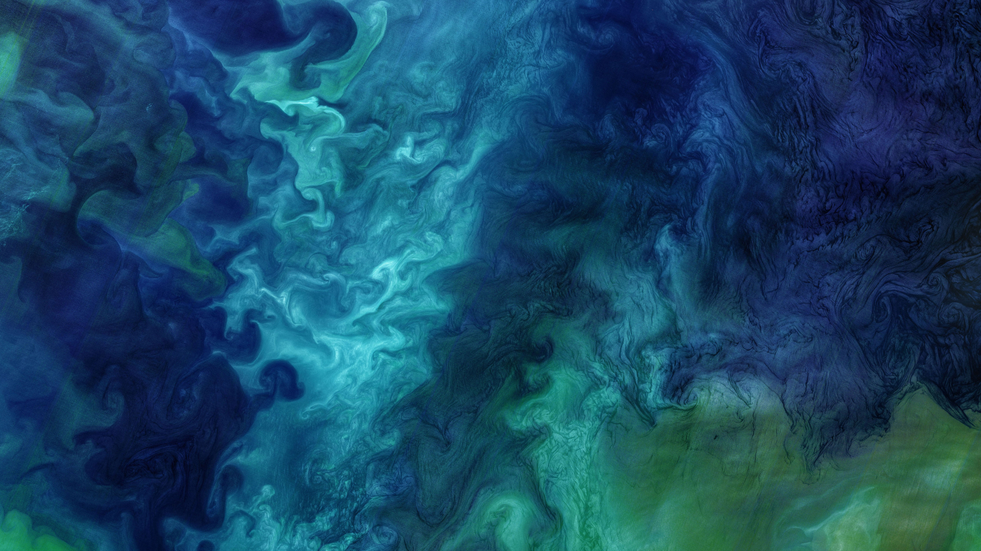 Fioriture di fitoplancton nel mare dei Ciukci al largo delle coste dell'Alaska, USA (© Norman Kuring/Kathryn Hansen/U.S. Geological Survey/NASA)(Bing Italia)
