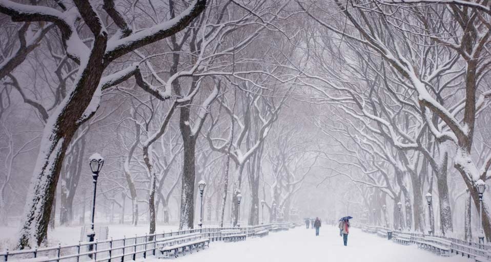 Snow covered trees and benches in Central Park, New York City -- Ellen Rooney/Getty Images &copy; (Bing United Kingdom)