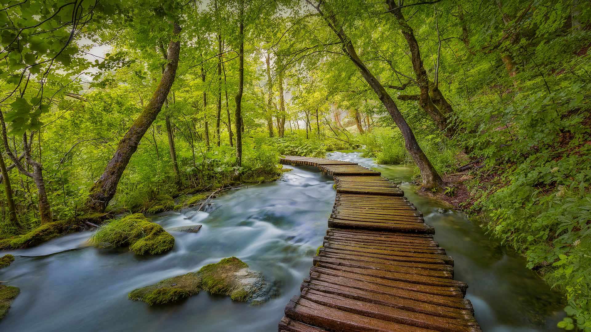 Le parc national des lacs de Plitvice, Croatie (© Janne Kahila/Getty Images)(Bing France)