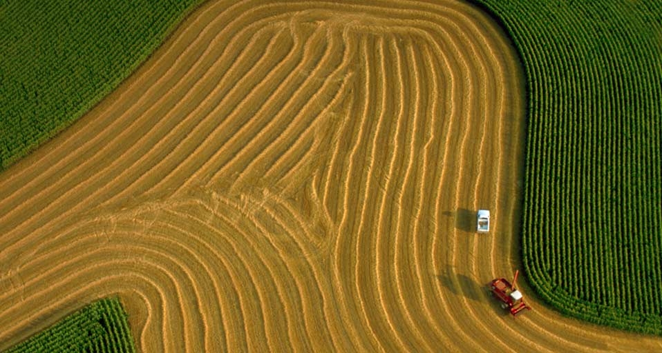 Combine harvesting oats surrounded by a corn field in Wisconsin -- Richard Hamilton Smith/Corbis &copy; (Bing Canada)